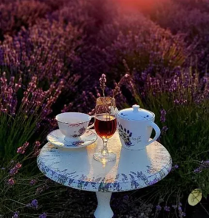 Ferienhaus Lawendowy Zakatek Machowino- Blue Scent Stolpmünde