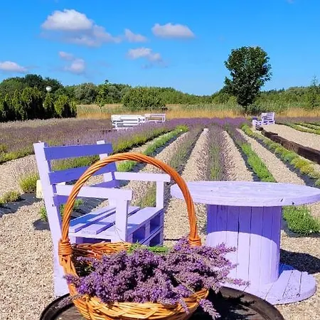 Ferienhaus Lawendowy Zakatek Machowino- Blue Scent