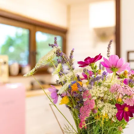 Lawendowy Zakatek Machowino- Blue Scent *