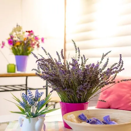 Lawendowy Zakatek Machowino- Blue Scent Ferienhaus