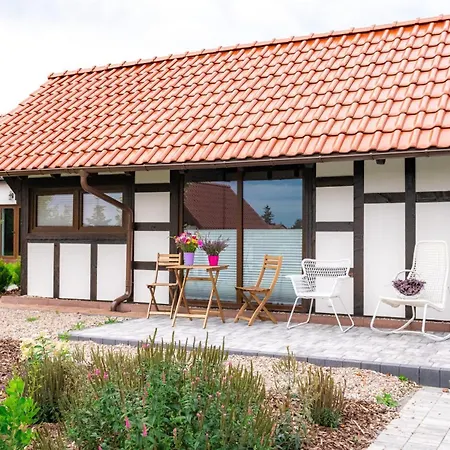 Lawendowy Zakatek Machowino- Blue Scent Stolpmünde