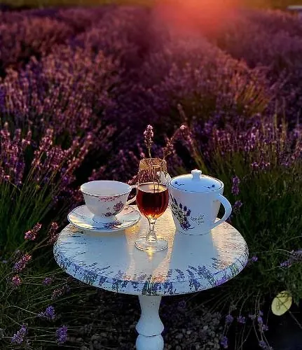 Дом отдыха Lawendowy Zakatek Machowino- Blue Scent Устка