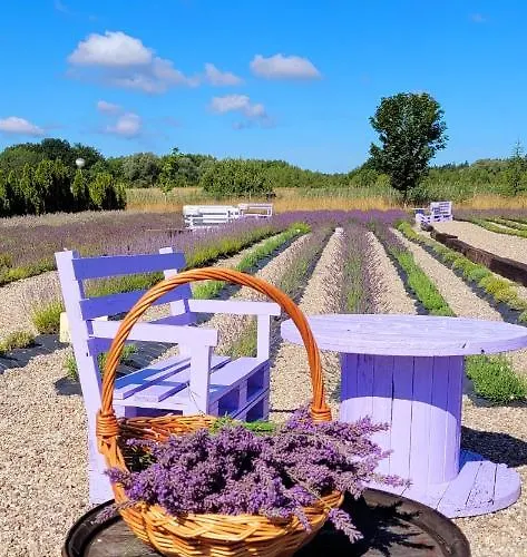 Дом отдыха Lawendowy Zakatek Machowino- Blue Scent