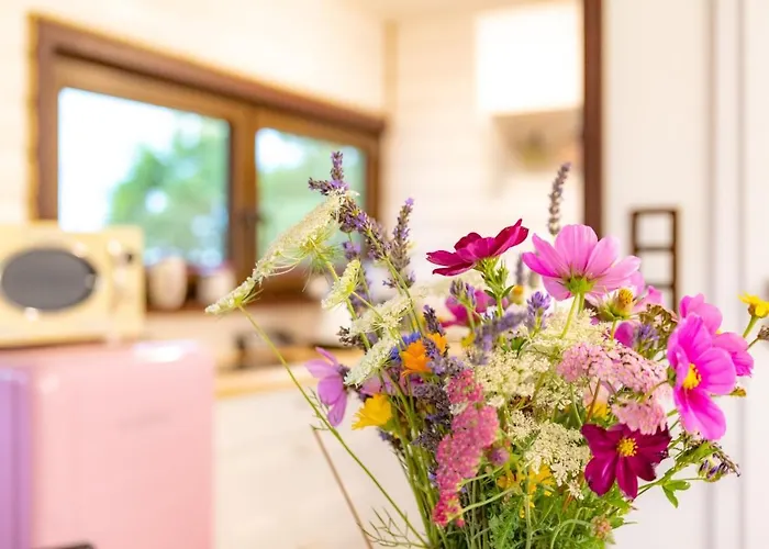 Lawendowy Zakatek Machowino- Blue Scent *