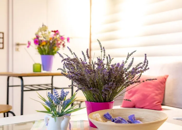 Lawendowy Zakatek Machowino- Blue Scent Дом отдыха