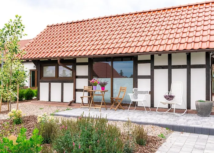 Lawendowy Zakatek Machowino- Blue Scent Устка